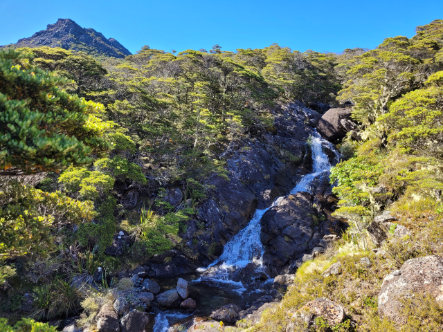 221229-1_Lockett_outlet_stream.jpg
