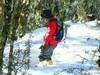 Descent in the bush