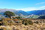 Above Bushline (no human element), 3rd - Pat Holland