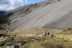 SpeargrassCreek