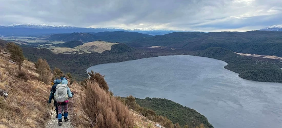 Lake Rotoiti View