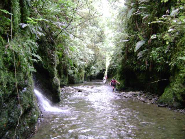 When the terrain get too rough travelling up a gorge is the only option - Urutawa Forest, Bay of Plenty dsc01712