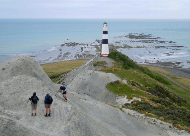 cape campbell ridge