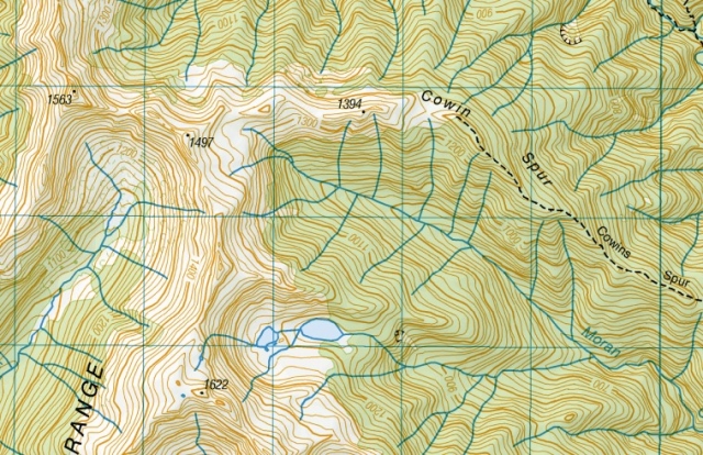 CowinSpur