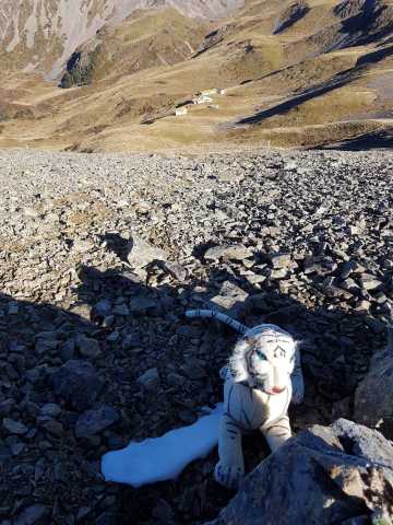 stiggers snow patch