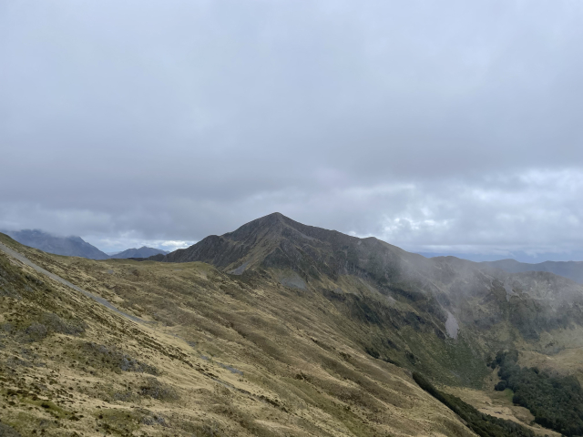 image 16818689