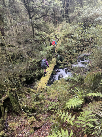 image 67227905