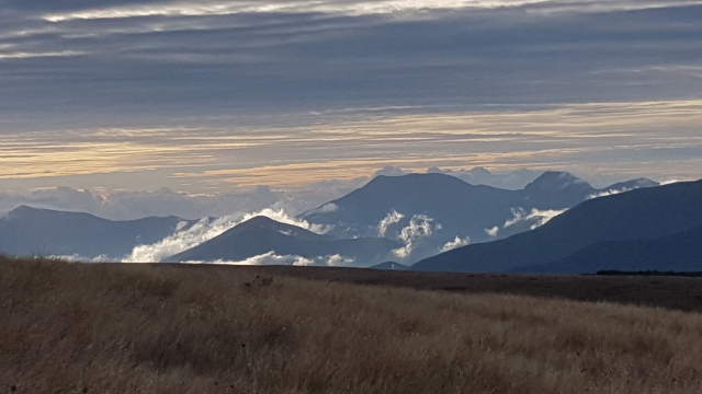 Mt peel views