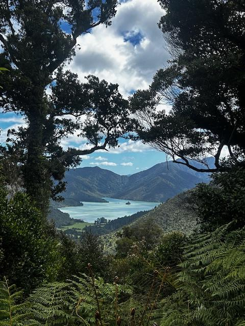 Tantelising view of the Sound from the saddle