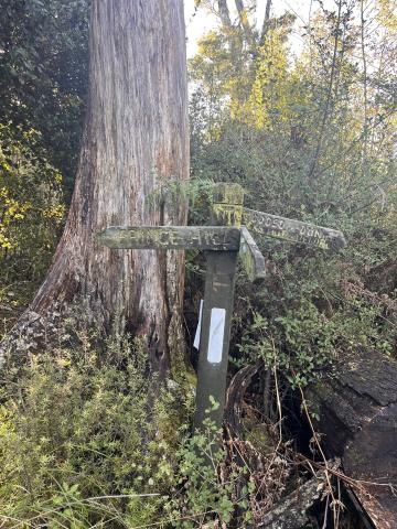 Somewhat old signage on the ridge