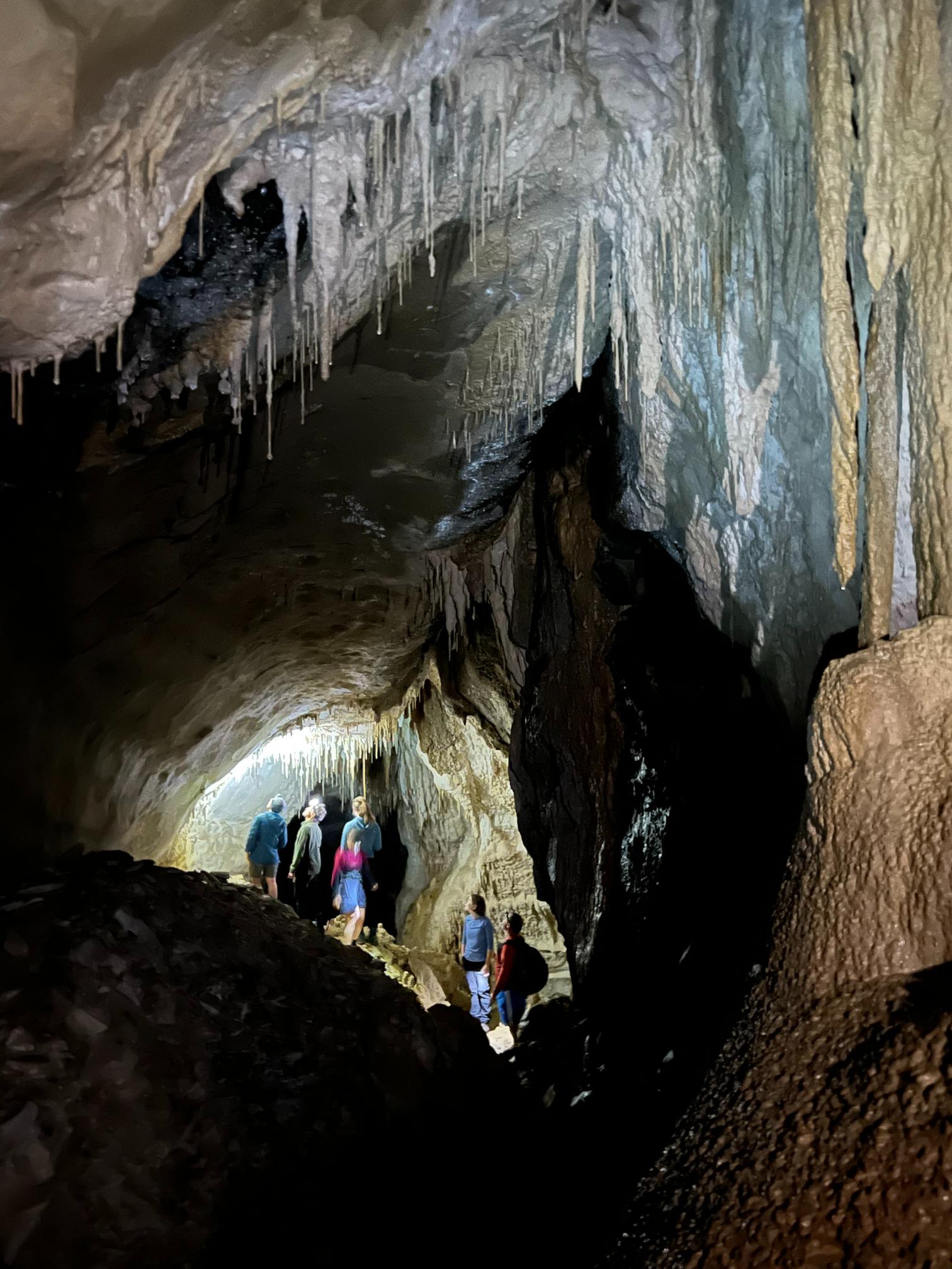 The group admiring the stalactites