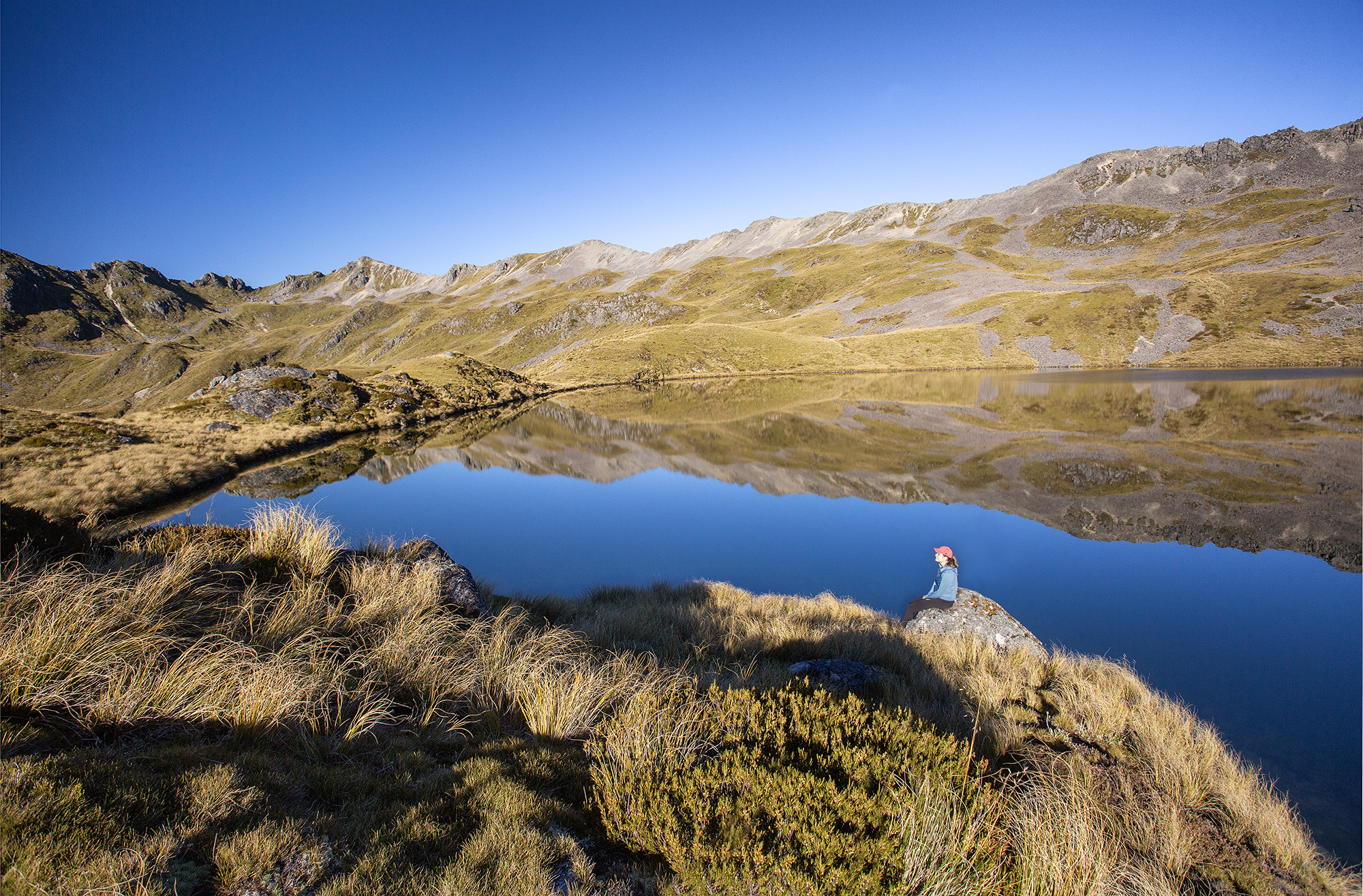 Heather at Rough Creek Tarn, Nelson Lakes NP, NZ