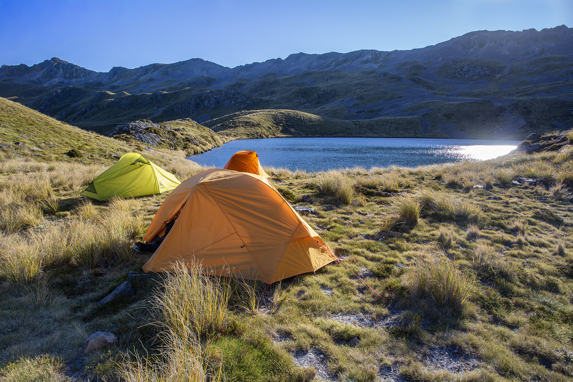 Tents at Rough Creek Tarn, Nelson Lakes NPark, NZ